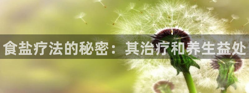 保定威九网络科技有限公司是干嘛的
