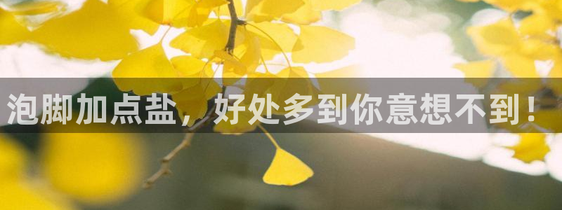 威九国际旗下艺人有谁