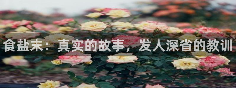 威九国际客服电话人工服务