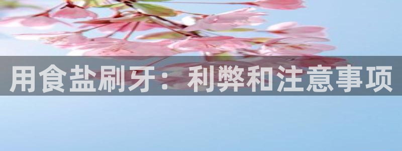 威九国际精