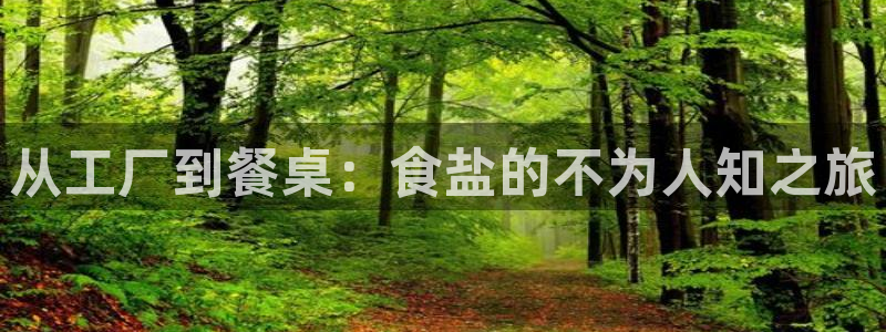 威九国际的金融服务有哪些