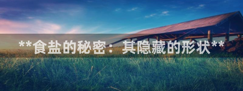 威九国际免费网络站