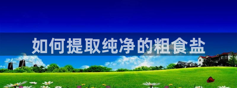 威九国际78mB