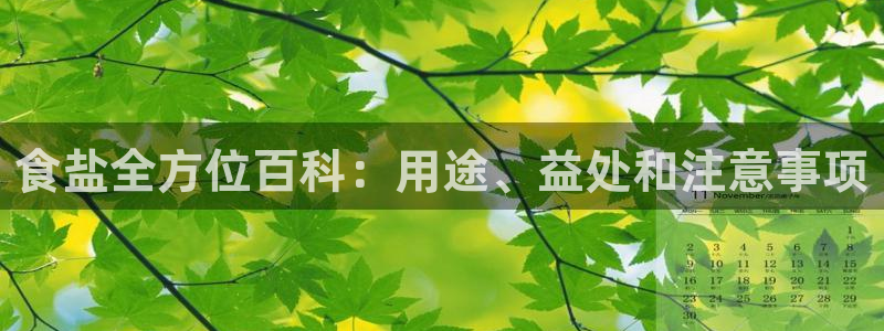 威九国际78mb下载