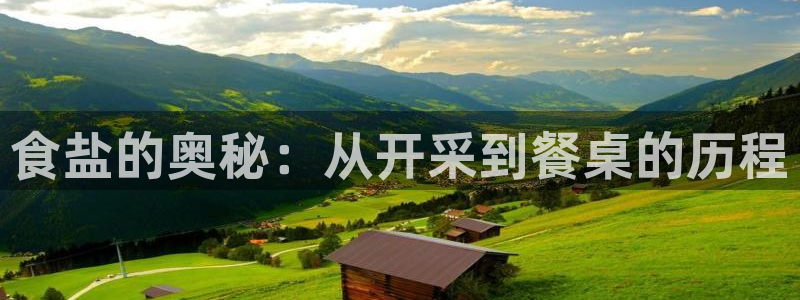 威九国际高清