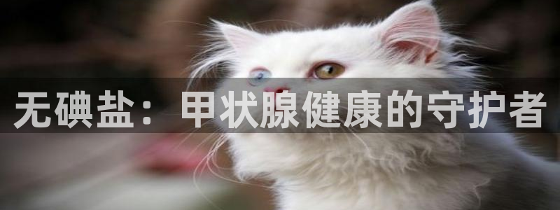 威九国际取款机怎么取