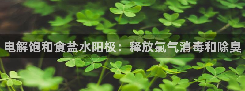 威九国际黑钱
