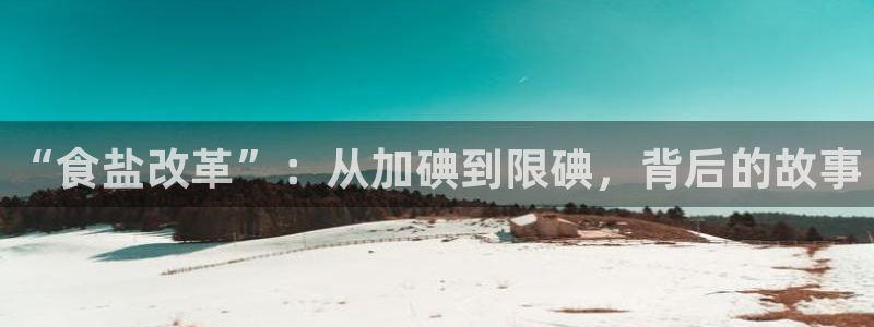 威九国际78mb特点