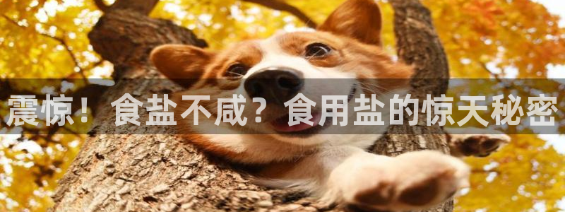 威九国际官方网站