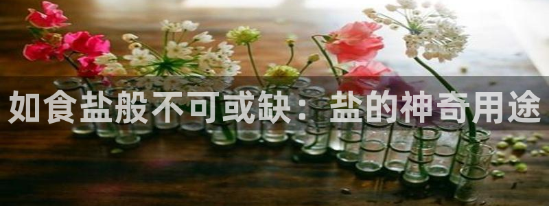 威九国际男主