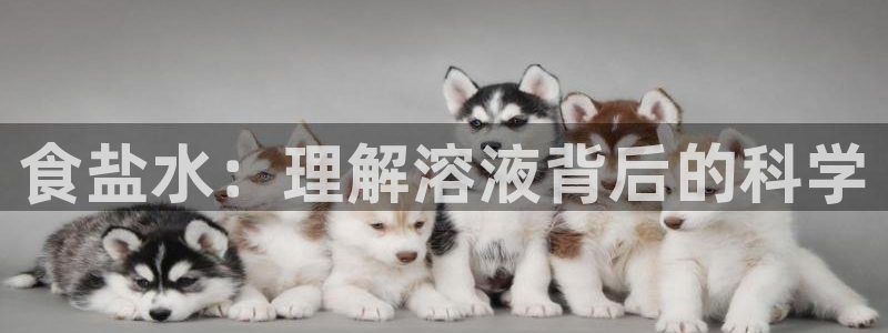 威九国际网站是多少