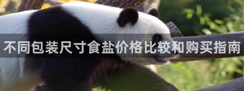 威九国际地址