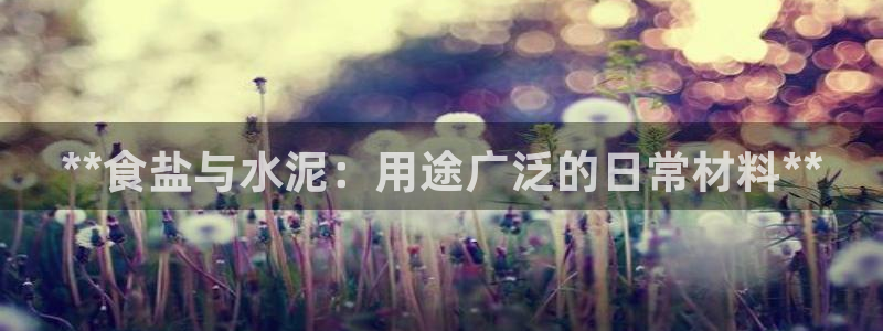 威九国际娜娜