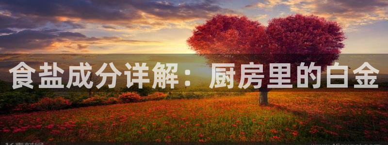 威九国际MV