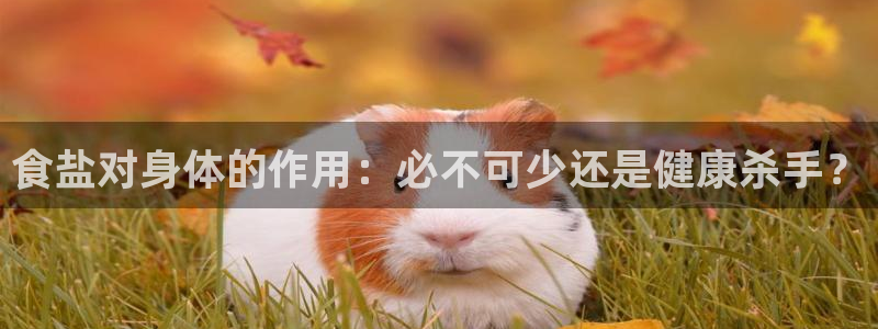 威九国际网站在哪里