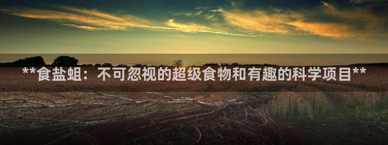 威九国际人民网招聘