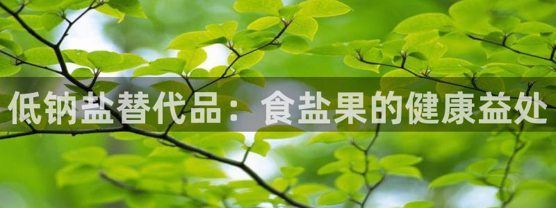 威九国际78M.APP