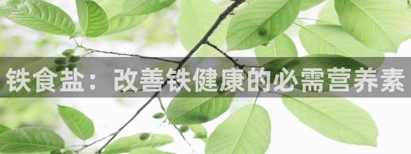 威九国际网站怎么样