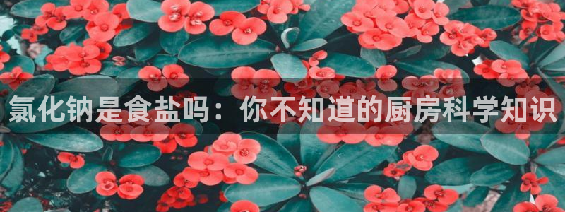 威九国际空降