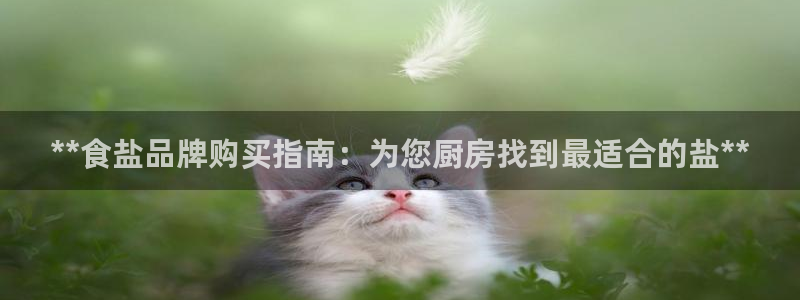 威九国际网站游戏