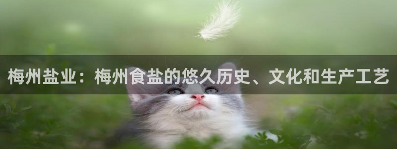 威九国际网站进入客服中心怎么进