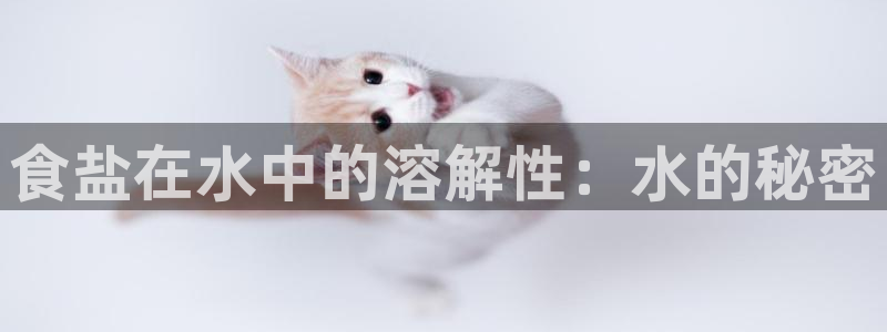 威九国际v96bet下载