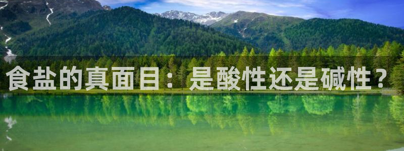 威九国际PPT