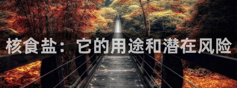 威九国际网页看视频弹窗的广告拦截插件