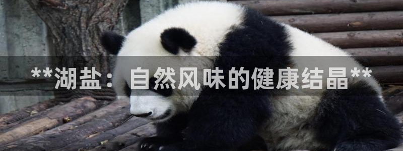威九国际狂飚电影