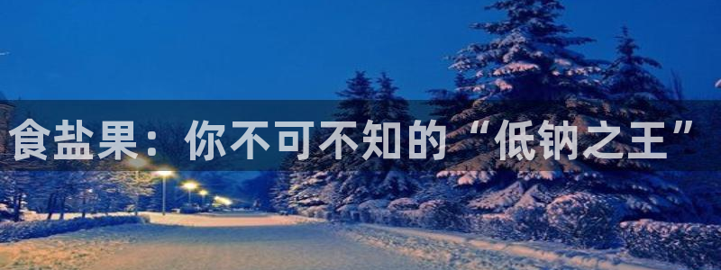 威九国际app入口官网