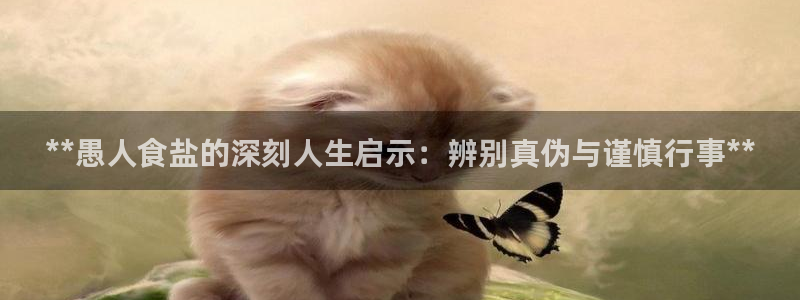 威九国际的金融服务