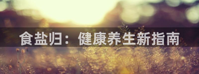 威九国际服