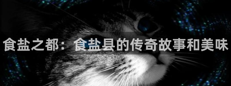威九国际官网在线进入网站查询网址