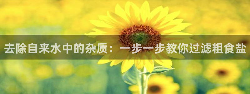 威九国际旗下艺人都有谁