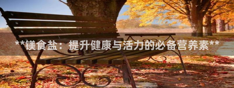 威九国际宣传片