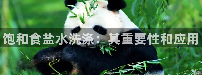 威九国际后爸