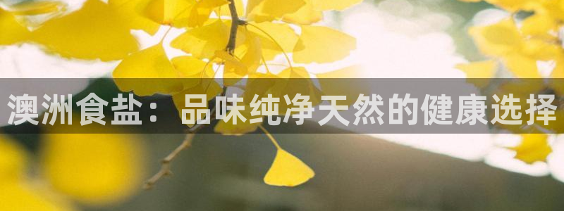 78mppt威九国际