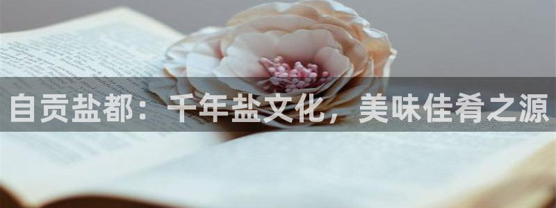 威九国际摩托电影HD
