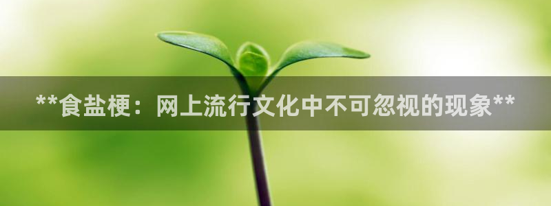 威九国际空降服务女演员叫什么名字