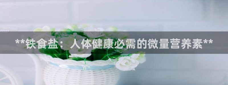 威九国际女明星