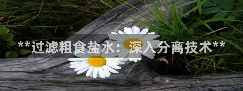 威九国际78mb42- MBA中文