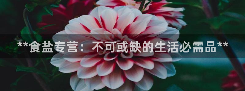 威九国际宣传片