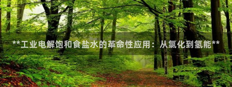 威九国际网站入口&rdpuo