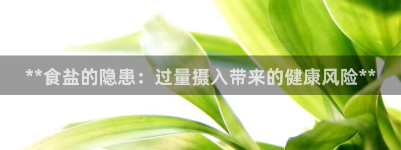 威九国际服