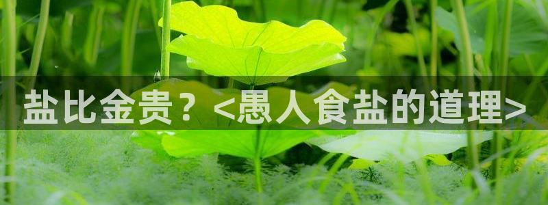 威九国际可以提现吗是真的吗