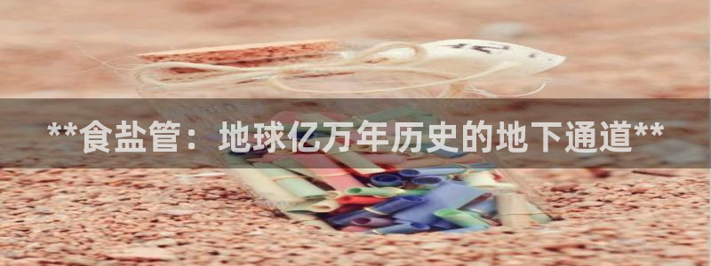 威九国际app无法登陆怎么回事