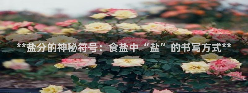 威九国际游戏
