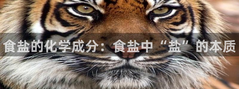 威九国际A