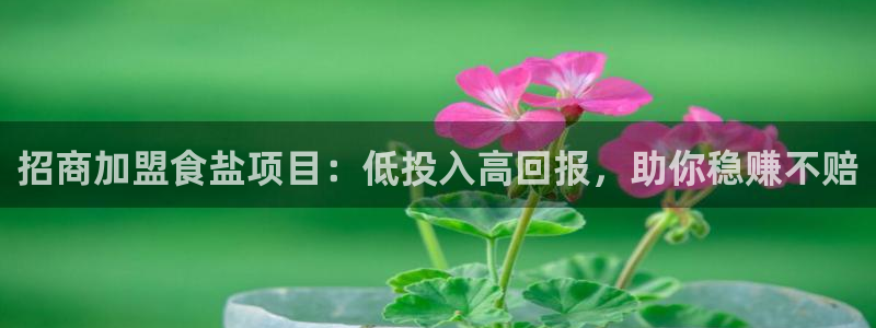 威九国际最新网站