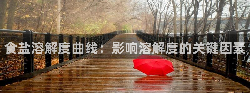 威九国际ppt官网